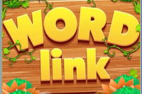 Word Link Puzzle